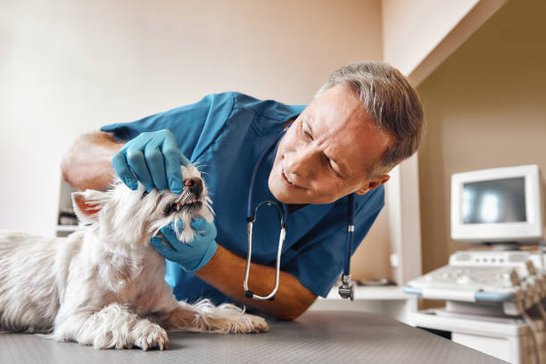 Best Emergency Dentist for Special Needs Patients in Galax, VA